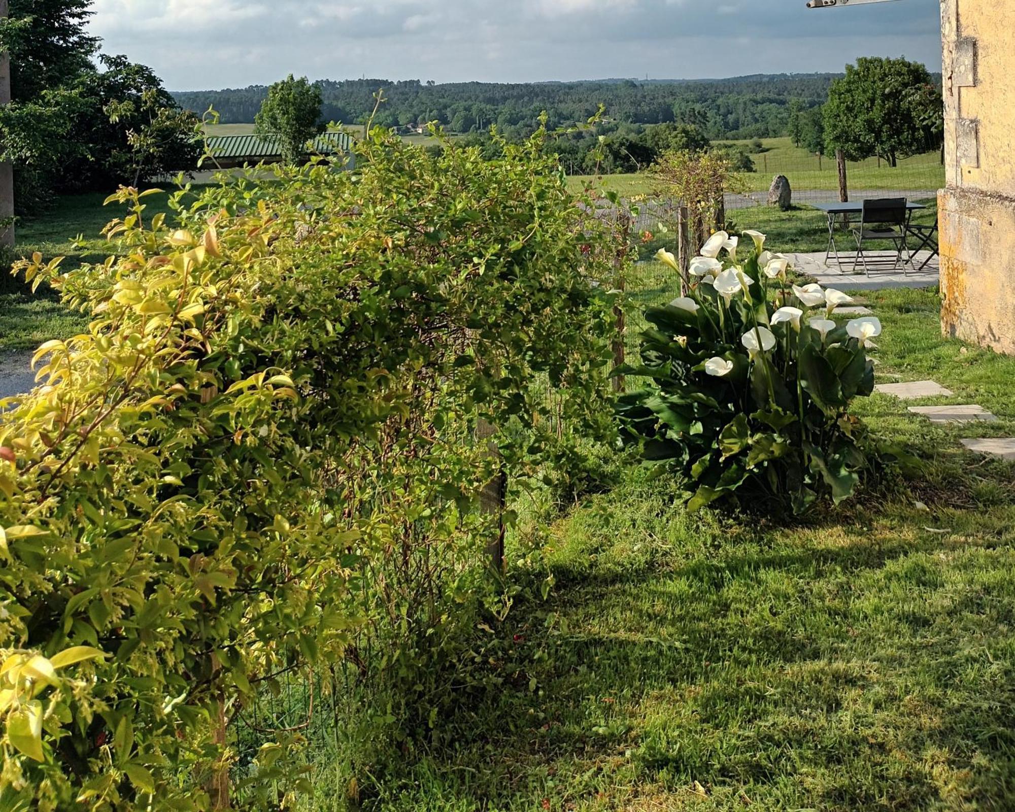 Gite Aux Bois D'En Temps Lunas  Zimmer foto